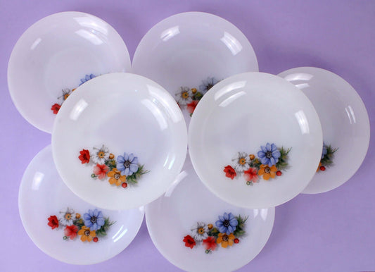 Assiettes Arcopal décor fleuri