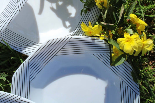 Vintage Assiettes creuses Octime Arcopal années 80