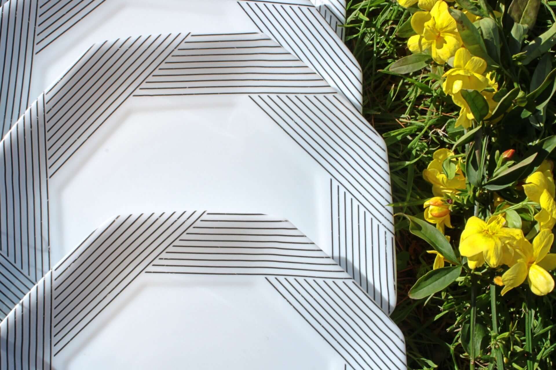 Vintage Assiettes plates Arcopal Octime années 80