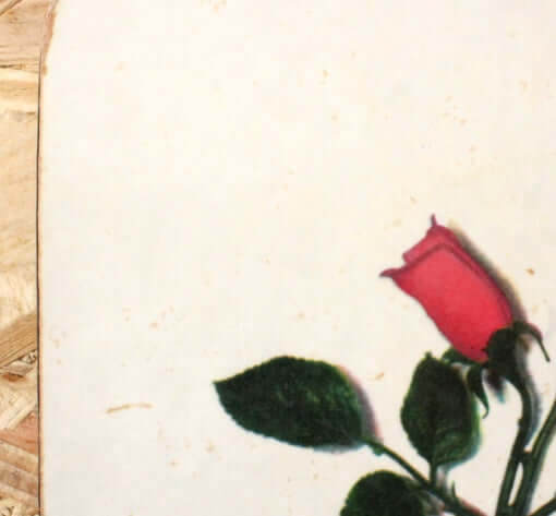 Dessous de plat en Formica motif floral