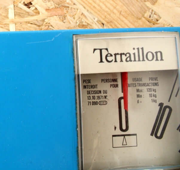 Pèse personne Terraillon vintage bleu