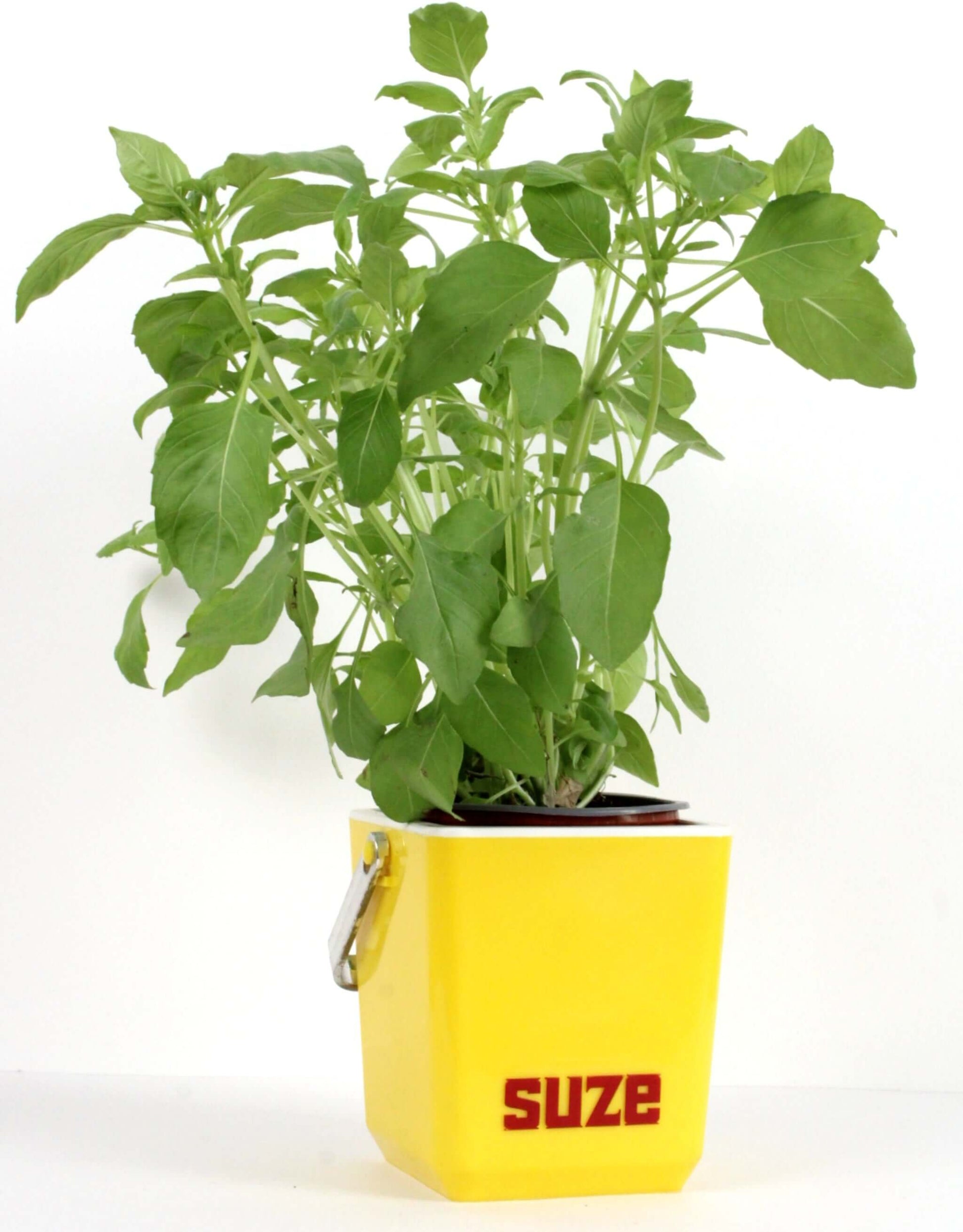 Seau à glaçons vintage Suze jaune