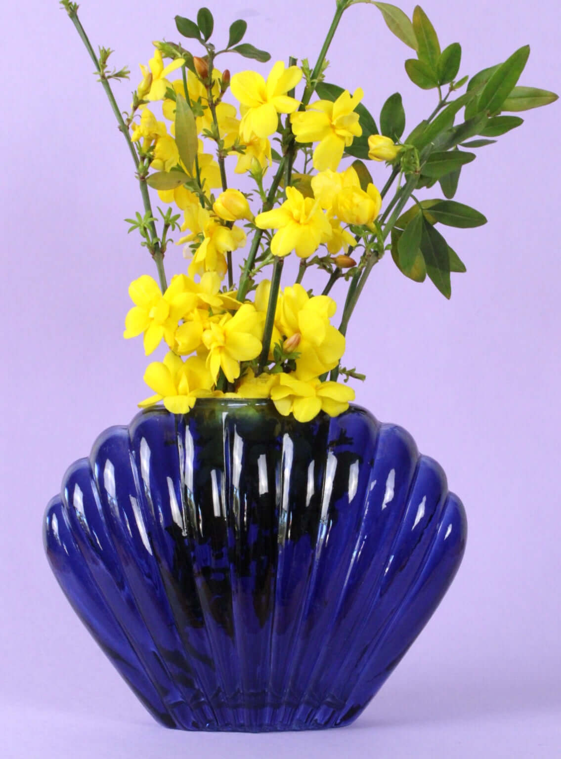 Vase coquillage en verre